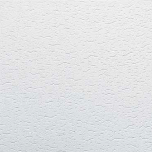 PLACA DESMONTABLE FISURADO