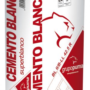 CEMENTO BLANCO 42.5  25KG